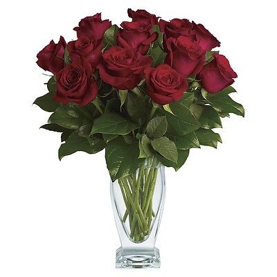 12 Rose Classique - Dozen Red Roses