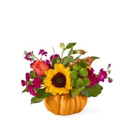 Bippity Boppity Pumpkin