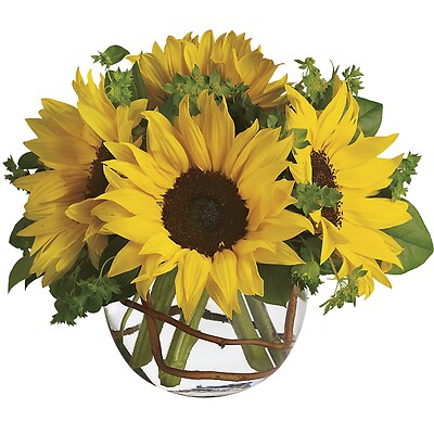 Sunny Sunflowers