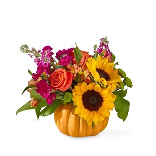 Bippity Boppity Pumpkin
